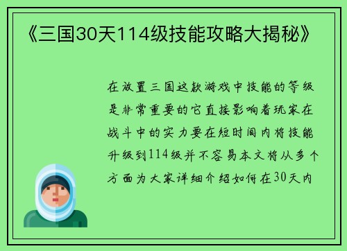 《三国30天114级技能攻略大揭秘》